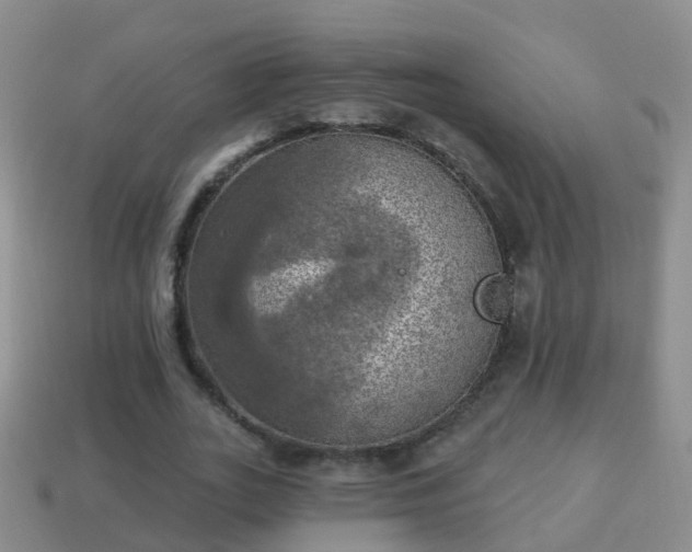 X0000114020727200910091413