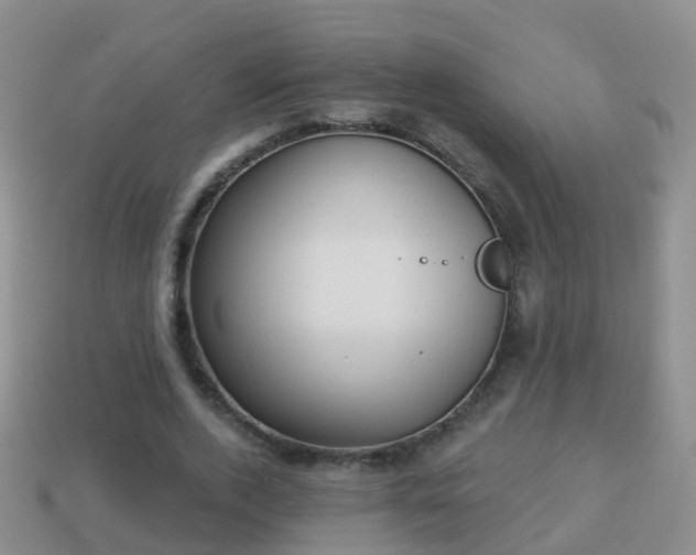 X0000114020728200910091413