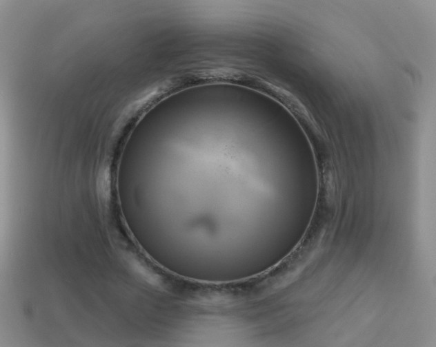 X0000114020729200910091413