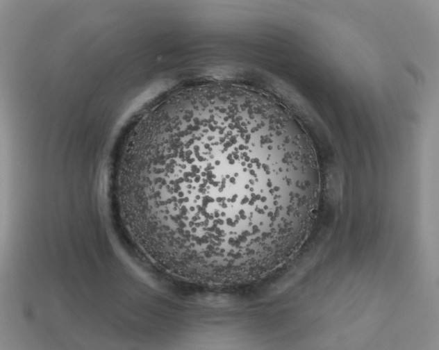 X0000114020730200910091413