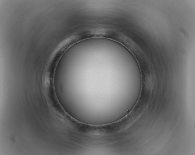 X0000114020731200910091413