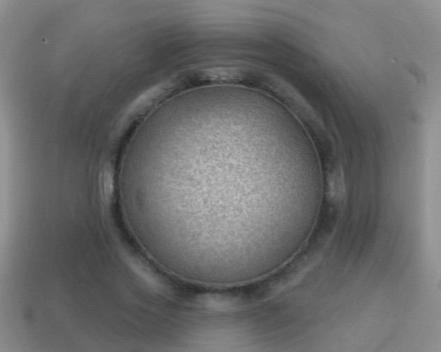 X0000114020733200910091413