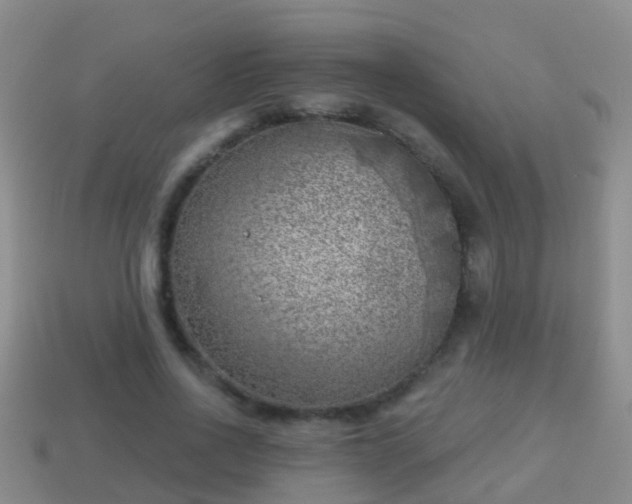 X0000114020734200910091413
