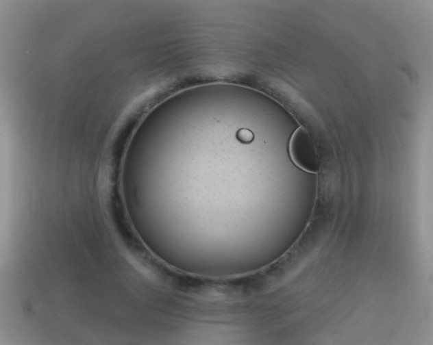 X0000114020736200910091413