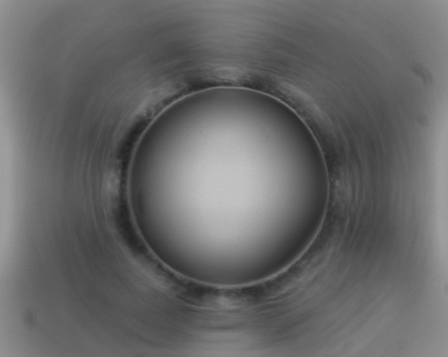 X0000114020739200910091413