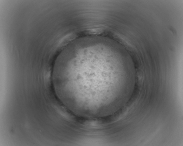 X0000114020745200910091413