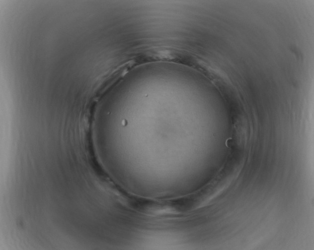 X0000114020747200910091413