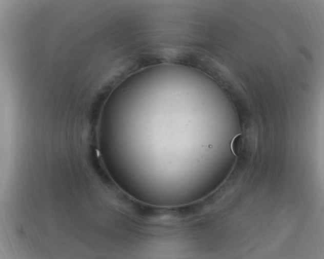 X0000114020750200910091413