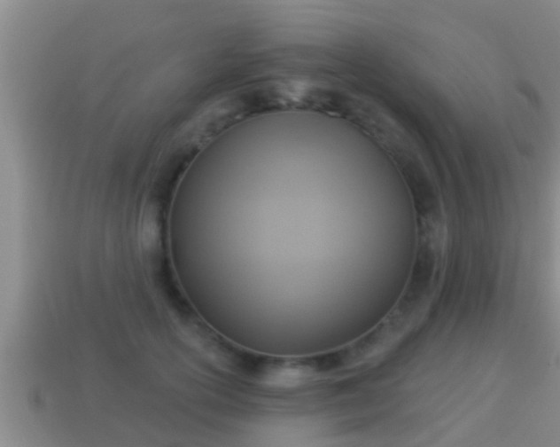 X0000114020754200910091413