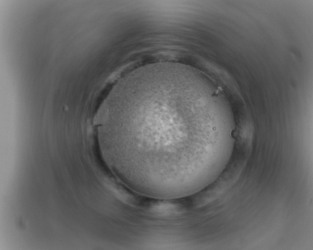 X0000114020759200910091413