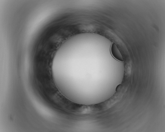 X0000114020764200910091413