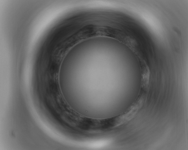 X0000114020765200910091413