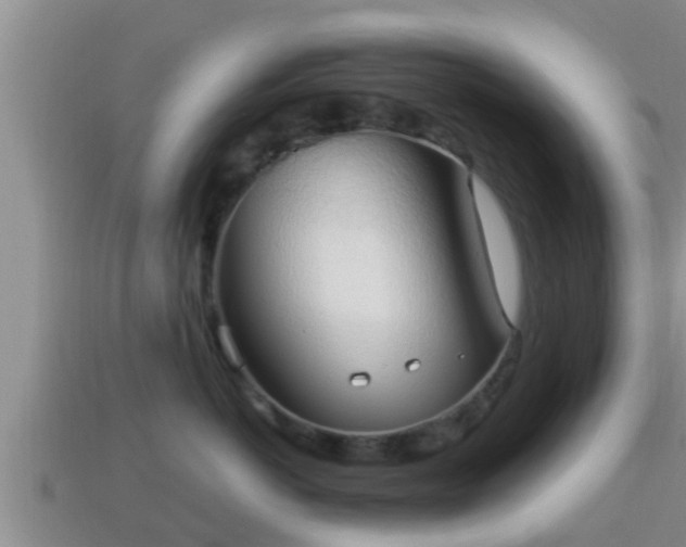 X0000114020766200910091413