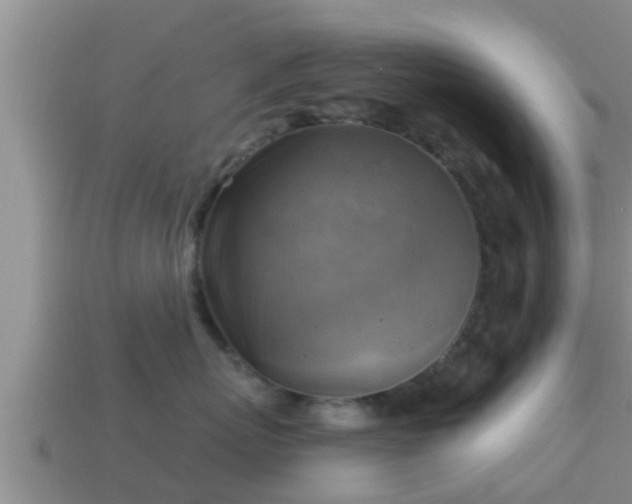 X0000114020767200910091413