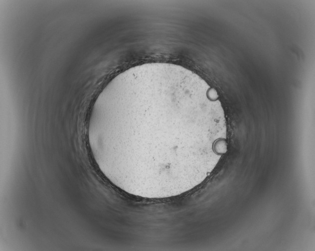 X0000114020769200910091413