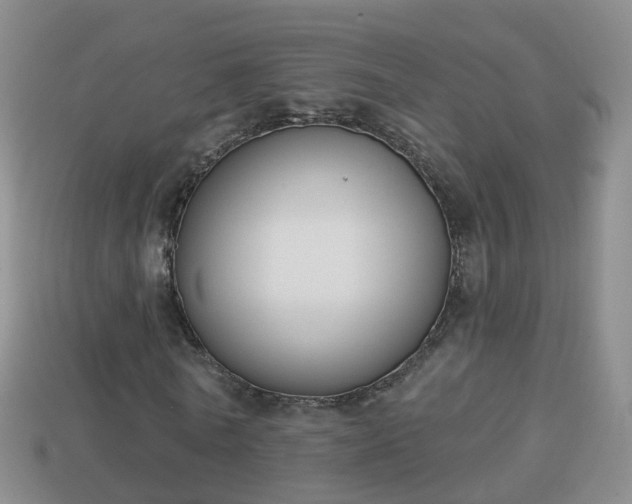 X0000114020770200910091413