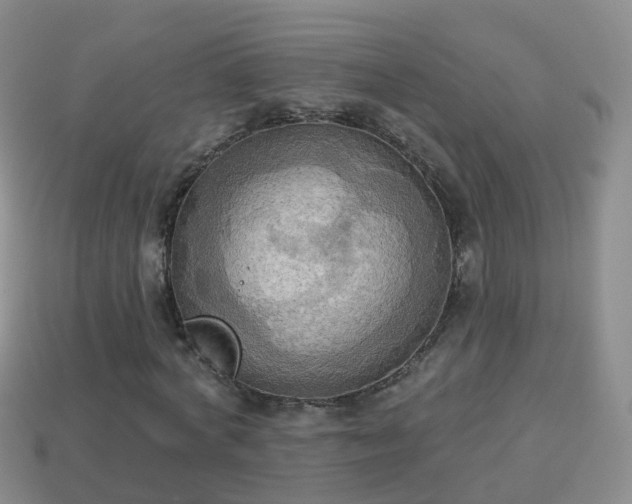 X0000114020772200910091413