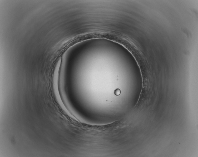 X0000114020773200910091413