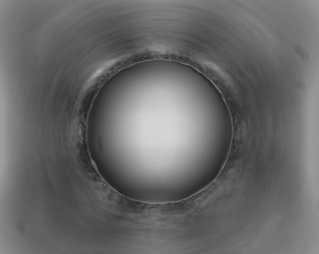 X0000114020776200910091413