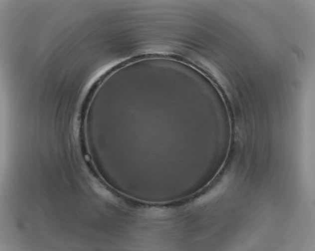 X0000114020779200910091413