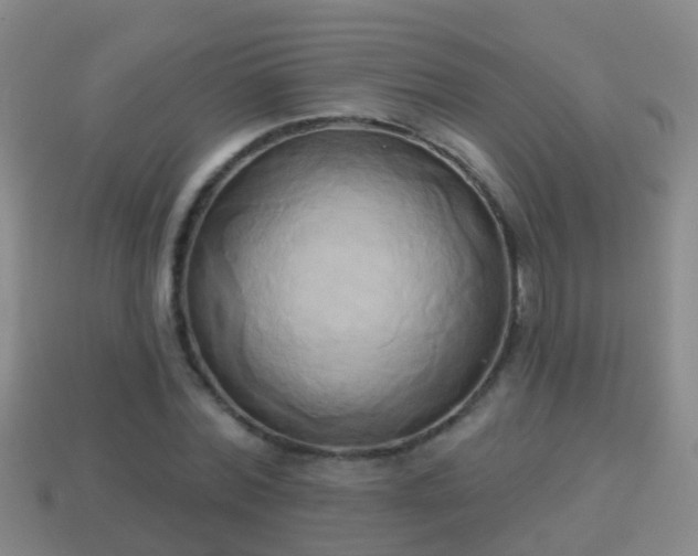 X0000114020780200910091413