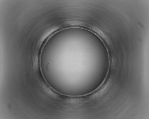 X0000114020782200910091413