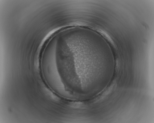 X0000114020784200910091413