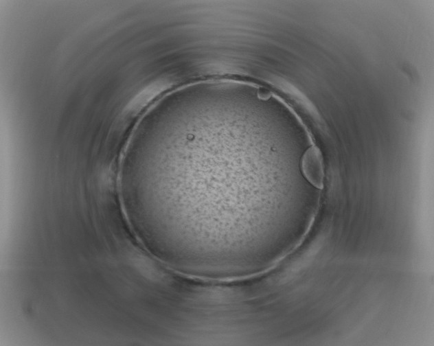 X0000114020785200910091413