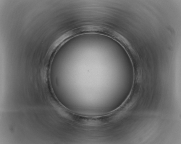 X0000114020786200910091413