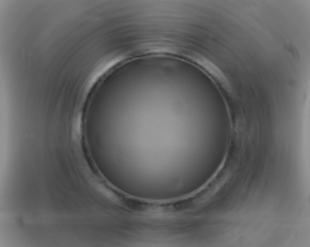 X0000114020790200910091413