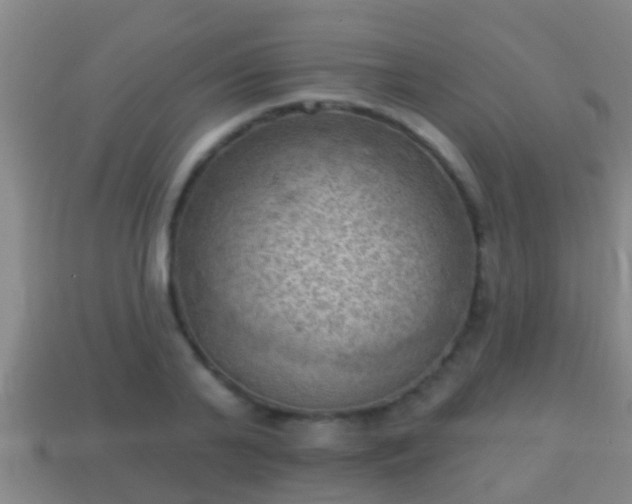 X0000114020791200910091413