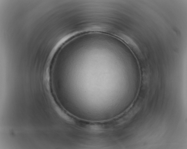 X0000114020792200910091412