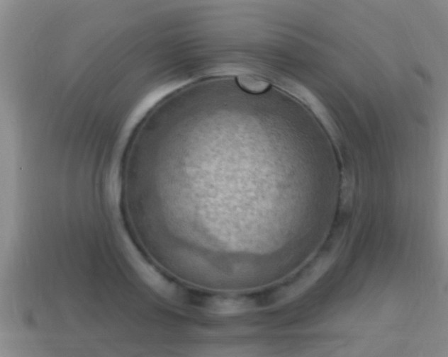 X0000114020795200910091412