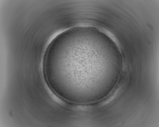 X0000114020803200910091412