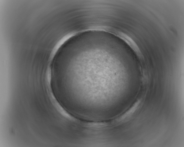 X0000114020804200910091412