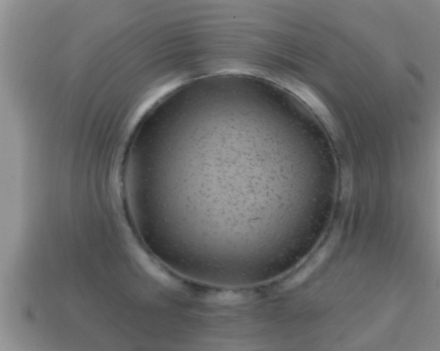 X0000114020806200910091412