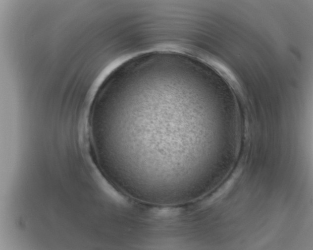 X0000114020808200910091412