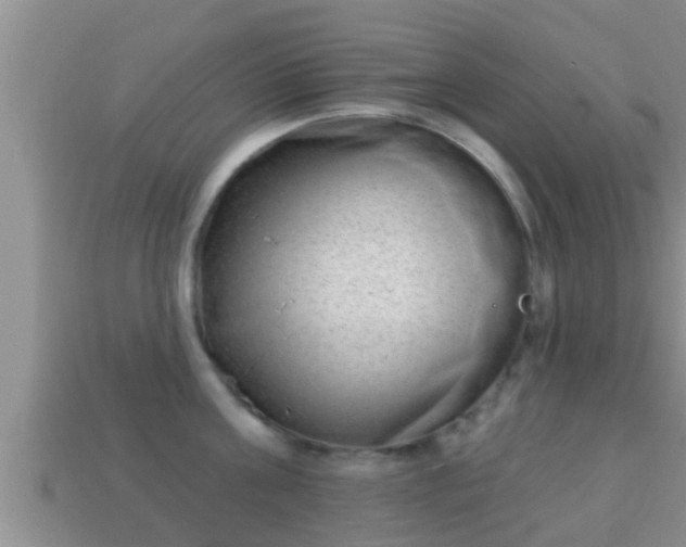 X0000114020811200910091412