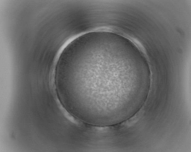 X0000114020816200910091412