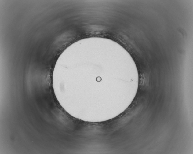 X0000114020820200910091412