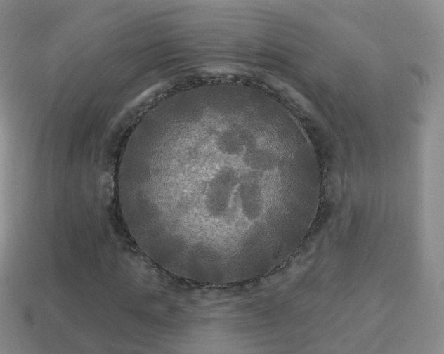 X0000114020821200910091412