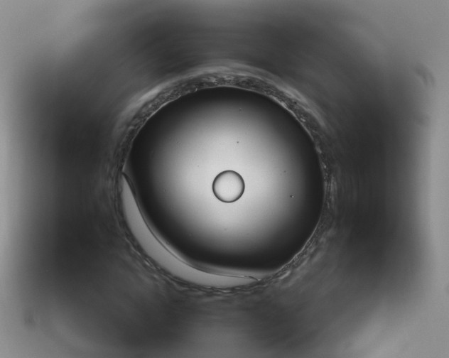 X0000114020822200910091412