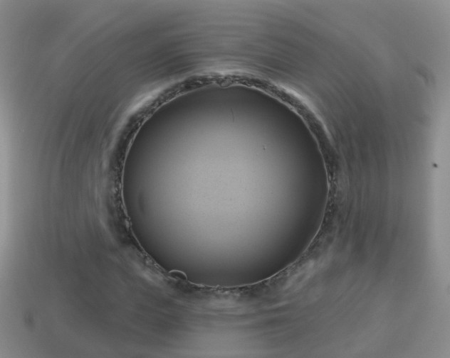 X0000114020823200910091412