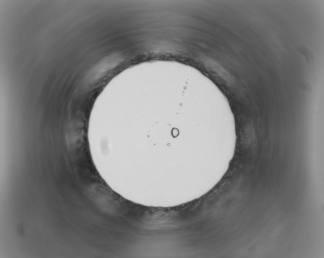 X0000114020824200910091412