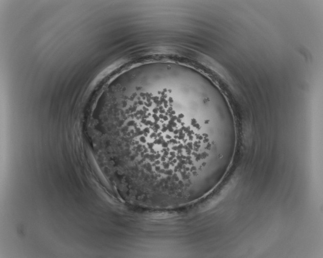 X0000114020826200910091412
