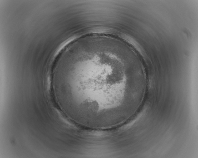 X0000114020829200910091412