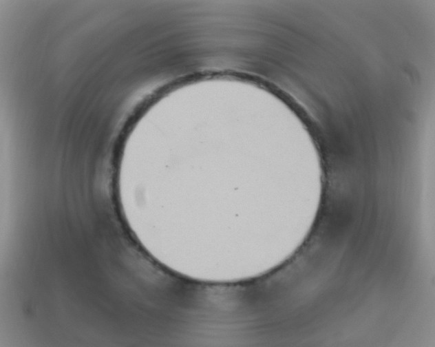 X0000114020832200910091412