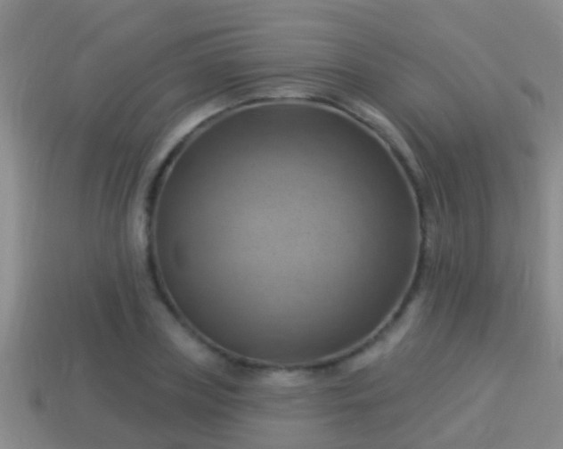 X0000114020835200910091412