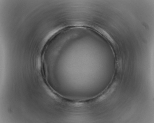 X0000114020839200910091412