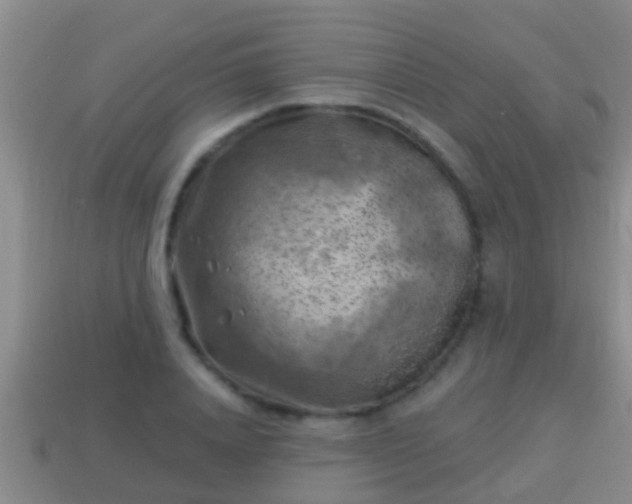 X0000114020840200910091412